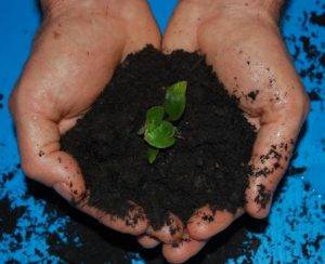 compost new england