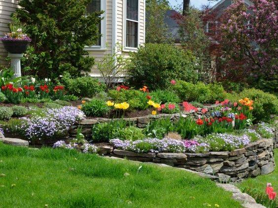 Front Yard Landscaping Ideas That Add Value to Your Home