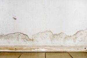 Different Ways Mold Can Damage Your Home