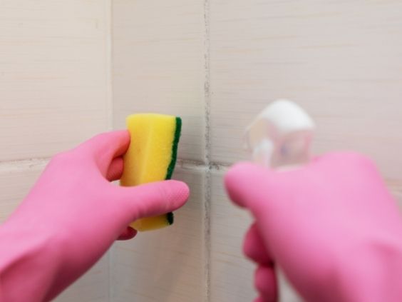 4 Tips To Keep Mold Out of Your Vacation House