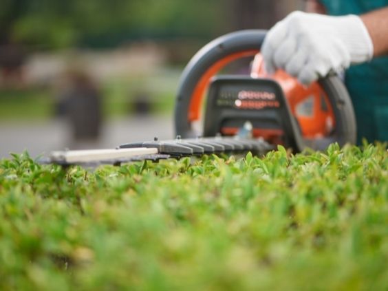 Landscaping Your Yard: What You Need To Avoid