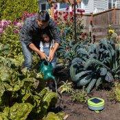 Take care of your plants - let the robot take care of the weeds