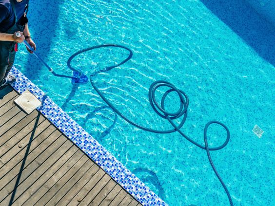 Reasons Why Your Pool Has Insects and What To Do About It