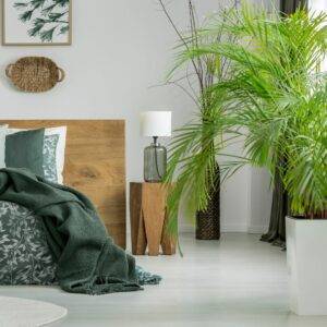 Greenery in the New Year