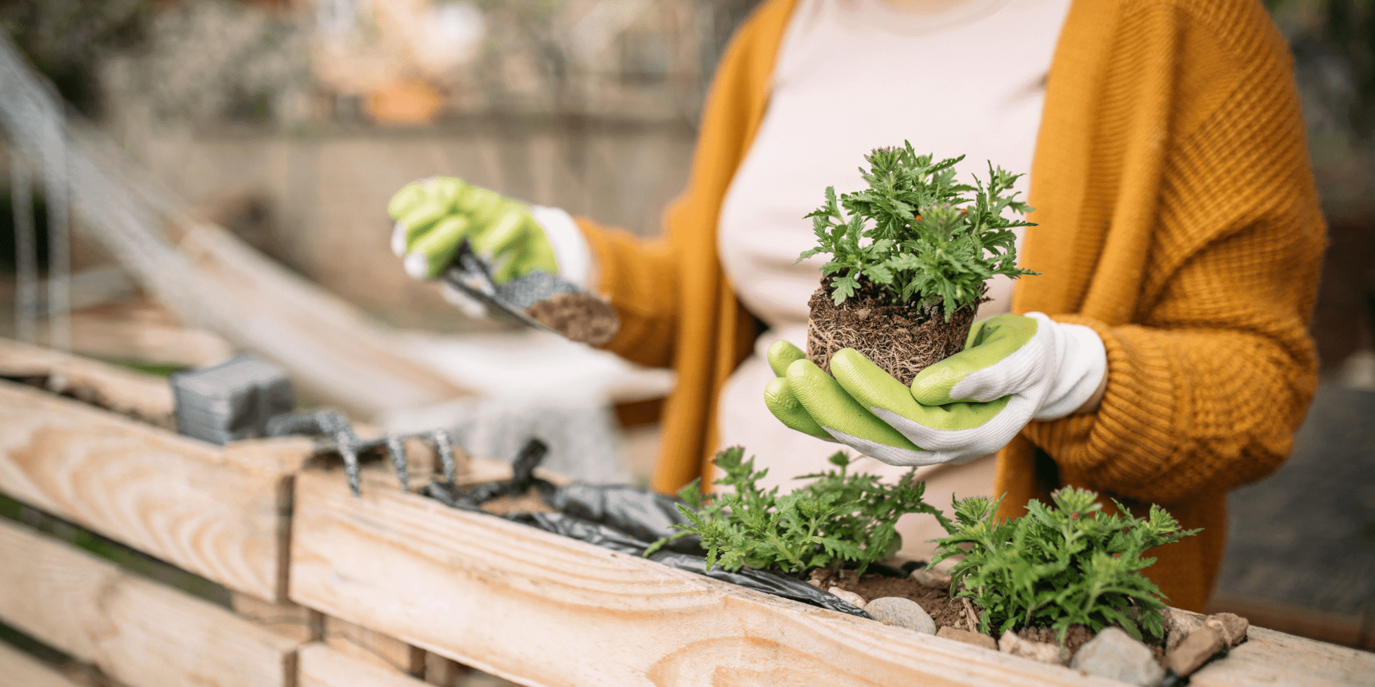The Health Benefits of Having a Hobby